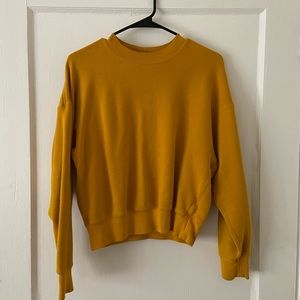 UNIQLO Sweatshirt